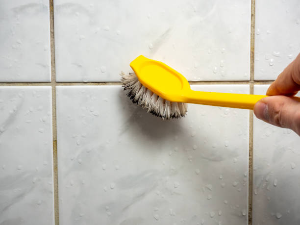 Best Certified Mold Removal  in Malabar, FL