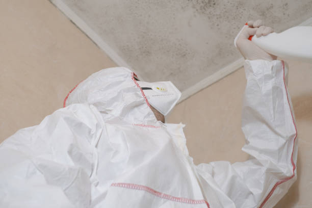 Best Crawl Space Mold Removal  in Malabar, FL