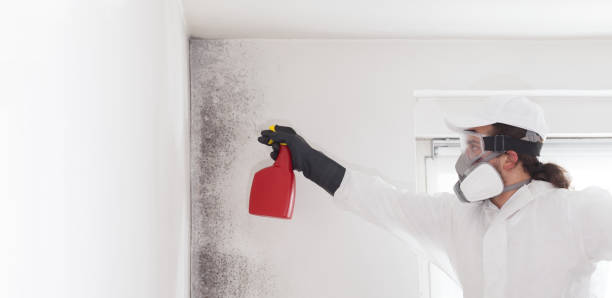 Crawl Space Mold Removal in Malabar, FL